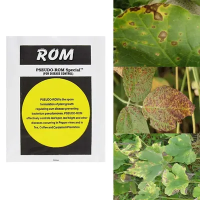 ROM 2 kg Pseudo Special Bio Pesticides, Plant Growth Promoter