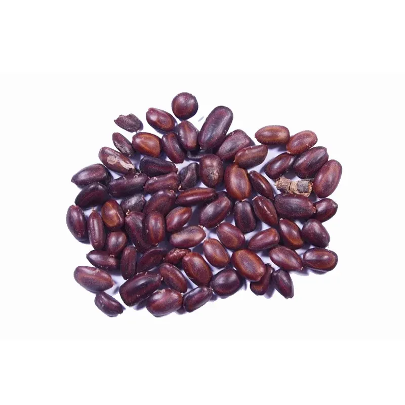 Pioneer Agro Samanea Saman, Rain Tree seed 100g