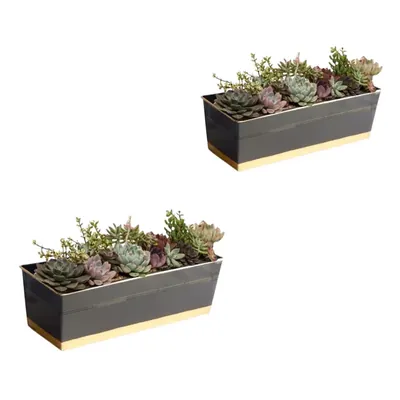 Ecofynd 16 Inch Rectangular Metal Planter Pots, Black, Pack of 2 (POT042-BLK)