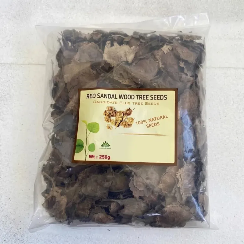 Pioneer Agro Red Sandalwood Seeds (Pterocarpus santalinus / Lal Chandan) 1 kg Pack for Commercial Timber Farming