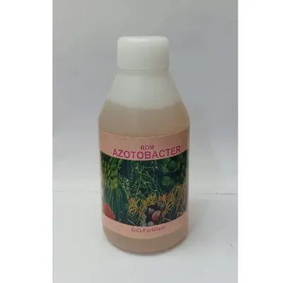 ROM Azotobacter Organic Biofertilizer, Enhances Soil Fertility and Improves Soil Structure, 250 ml