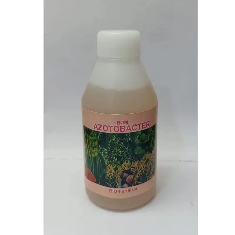 ROM Azotobacter Organic Biofertilizer, Enhances Soil Fertility and Improves Soil Structure, 250 ml
