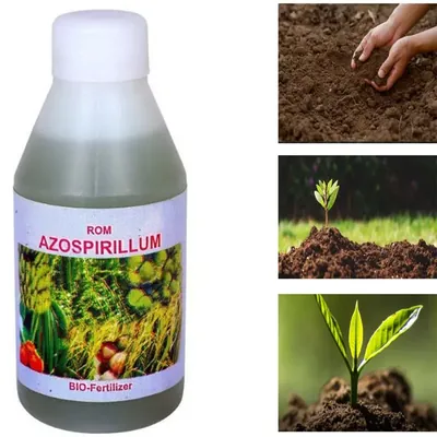 ROM 1 Litre Azospirillum Liquid Bio Fertilizer, Nitrogen Fixing Bacterium