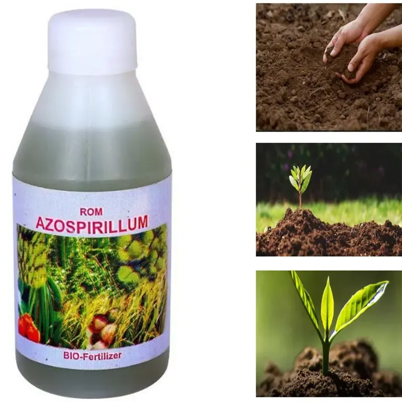 ROM 1 Litre Azospirillum Liquid Bio Fertilizer, Nitrogen Fixing Bacterium