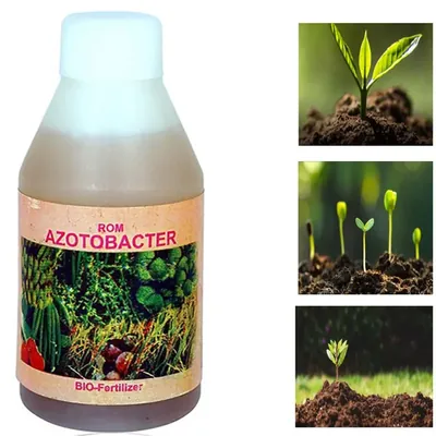 ROM 5 kg Azotobacter Bio-Fertilizer Powder, Nitrogen Fixing Bacterium