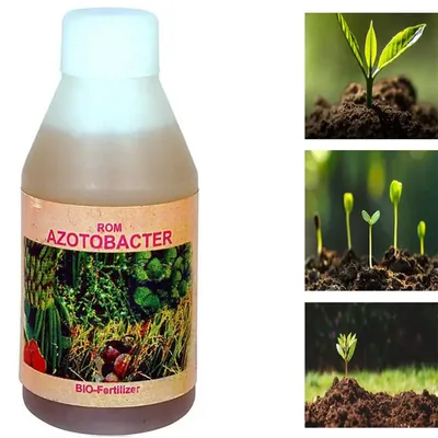 ROM 1 Litre Azotobacter Liquid Bio Fertilizer, Nitrogen Fixing Bacterium