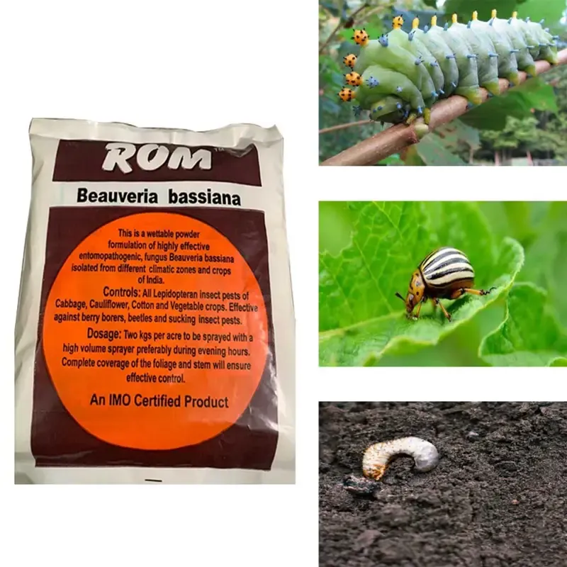 ROM 3 kg Beauveria Bassiana Powder, Suitable for Controlling Hard Bodied Insects