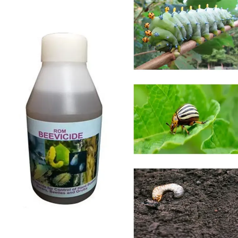 ROM 1 Litre Beauveria Bassiana Liquid, Suitable for Controlling Hard Bodied Insects