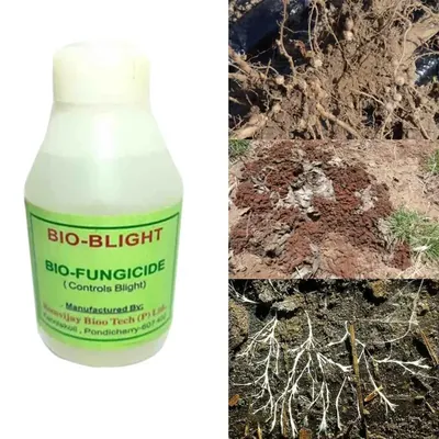 ROM 1 Litre Bio Blight, Used to Control Foliar and Soil Borne Bacterial Diseases