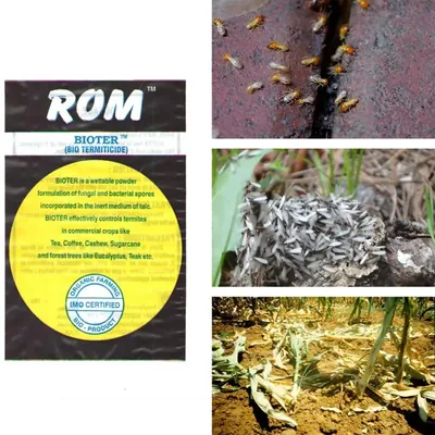 ROM 3 kg Bioter Bio Pesticide, Used to Control Termites in Crops