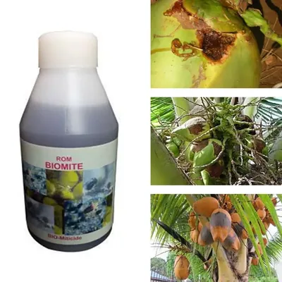 ROM 3 Litre Combined Bio Pesticide for Controlling Mite Infestation in Crops