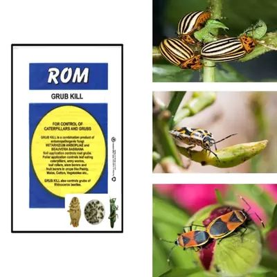 ROM 3 kg Grubkill Combined Bio Pesticide Powder, Used to Control Hard Bodied Insects