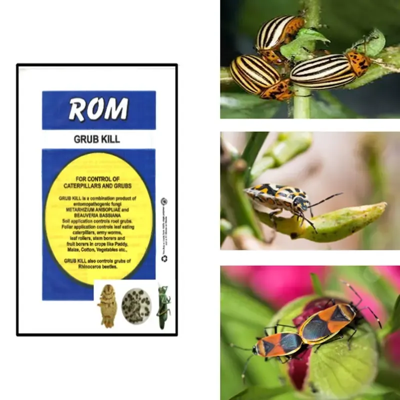 ROM 3 kg Grubkill Combined Bio Pesticide Powder, Used to Control Hard Bodied Insects