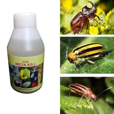 ROM 1 Litre Metakill Liquid Biopesticide, Used to Control Hard Bodied Beetles