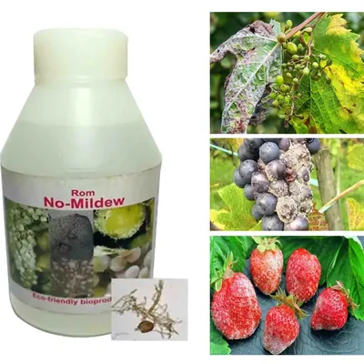 ROM 1 Litre No Mildew, Liquid Bio Fungicide, Suitable for Controlling Mildew Disease
