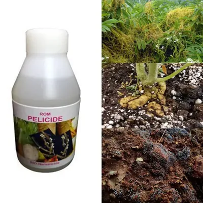 ROM 3 Litre Pelicide Bio Pesticide, Used to Control Plant Parasitic Nematodes in Soil
