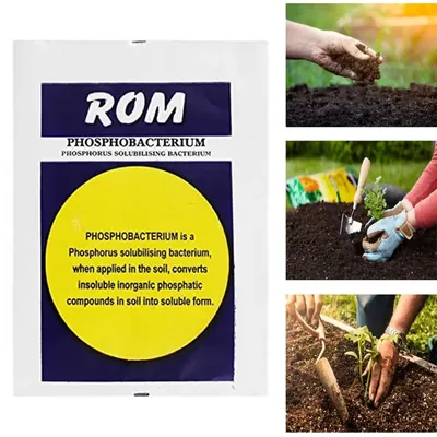 ROM 5 kg Phosphobacterium Bio Fertilizer, Phosphorus Solubilising Bacterium