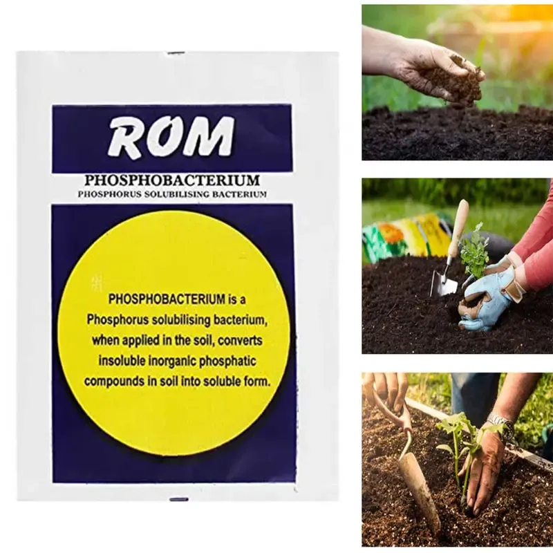 ROM 5 kg Phosphobacterium Bio Fertilizer, Phosphorus Solubilising Bacterium