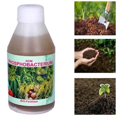 ROM 1 Litre Phosphobacterium, Liquid Bio Fertilizer
