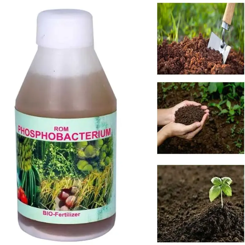 ROM 1 Litre Phosphobacterium, Liquid Bio Fertilizer