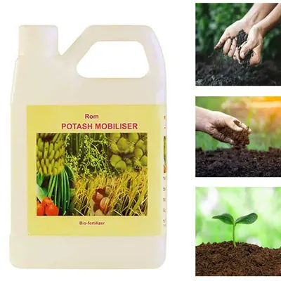 ROM 1 Litre Potash Solubiser for Plants, Liquid Bio Fertilizer, Plant Growth Promoter