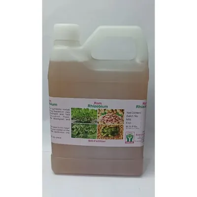ROM Rhizobium Nitrogen Fixing Biofertilizer, Promotes Healthy Root and Shoot Development, 1 Litre