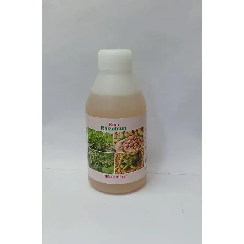 ROM Rhizobium Nitrogen Fixing Biofertilizer, Promotes Healthy Root and Shoot Development, 250 ml