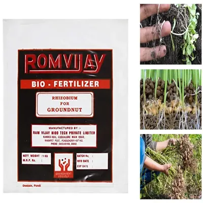 ROM 4 kg Rhizobium for Groundnut, Biofertilizer, Nitrogen Fixing Bacterium