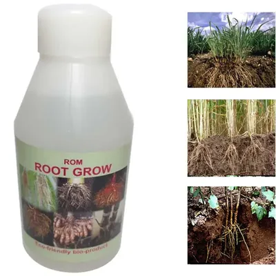 ROM 1 Litre Root Grow Bio Fertilizer, Bio Stimulant for Plants