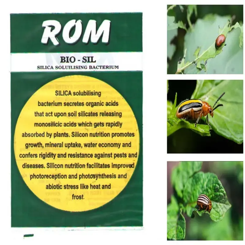 ROM 4 kg Silica Solubiliser Bio Fertilizer, Silica Solubilising Bacterium