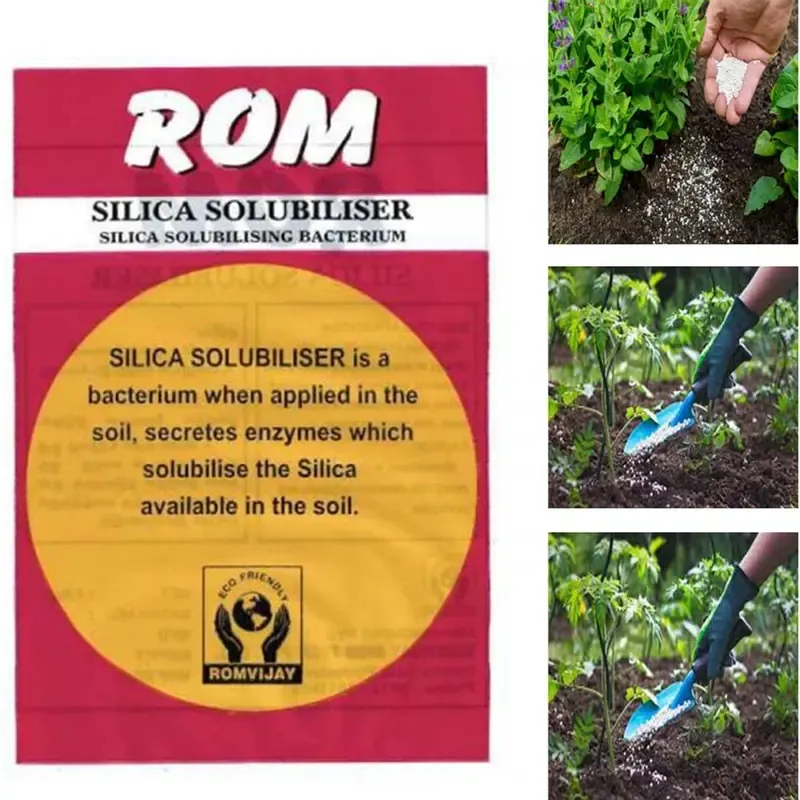 ROM 5 kg Silica Solubliser, Bio Fertilizer, Plant Growth Promoter for Agriculture