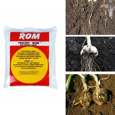 ROM 3 kg Trichoderma Harzianum Bio fungicide, Bio Control Agent