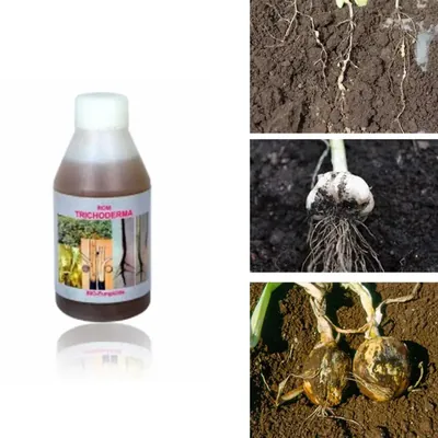 ROM 1 Litre Trichoderma Harzianum Liquid, Biofungicide, Bio Control Agent