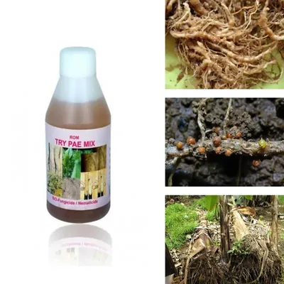 ROM 1 Litre Try Pae Mix, Liquid Bio Fungicide and Nematicide