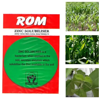 ROM 5 kg Zinc Solubliser, Bio Fertilizer, Plant Growth Promoter for Agriculture