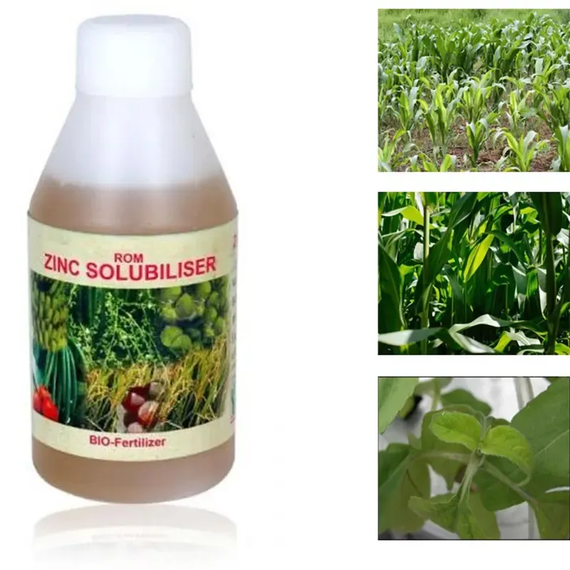 ROM 1 Litre Zinc Solubliser, Liquid Bio Fertilizer, Plant Growth Promoter
