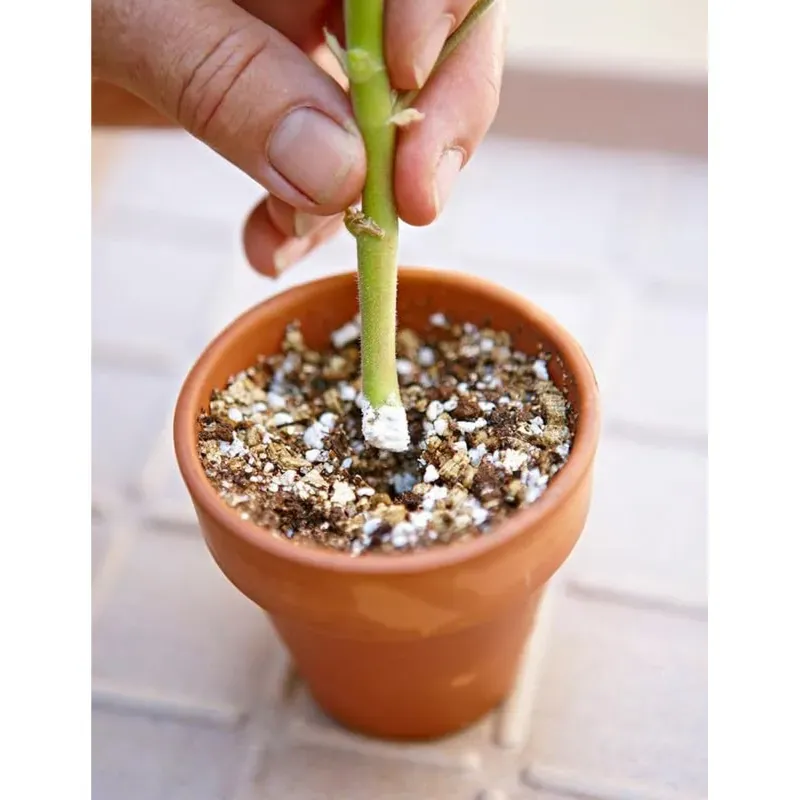 GEBDINSH 100g Rooting Hormone Granules Fast Root Development Cutting Propagation Booster