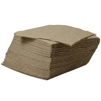 12 x 12 Inch 2 Ply 100 Pcs Recycled Food Service Picnic Travel Disposable Tissue Paper Napkins Pack for Catering Events (Pack-100)