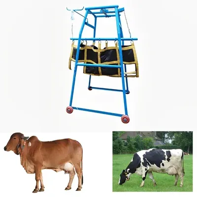 Heavy Duty Animal Lifting Machine For Cattle With 1 Ton Lifting Capacity, MS Body