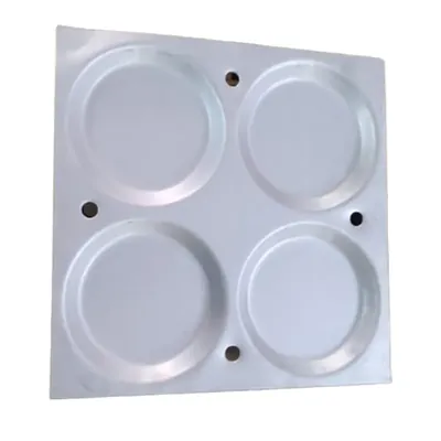 SBWG Commercial 12 Inch(30 cm) Thatte Idli Tray (Pack of 2)