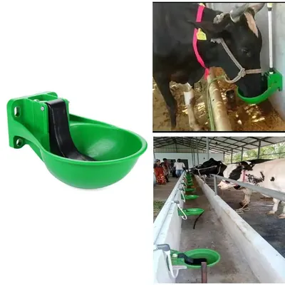 Automatic Animal Water Drinking Bowl, 2 Litre Capacity
