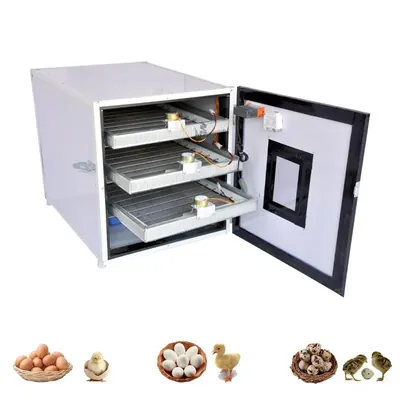 Fully Automatic Egg Incubator With Tray Capacity Of 210 Eggs, 120 W