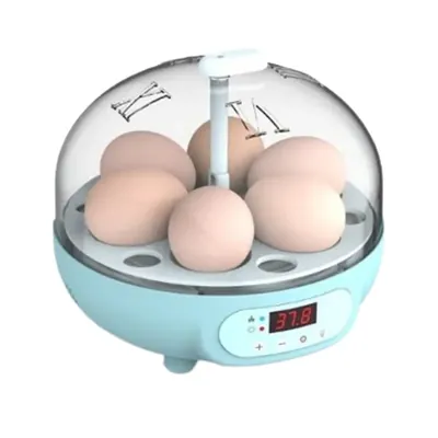 Ndeal 6 Eggs Automatic Incubator For Egg Hatching