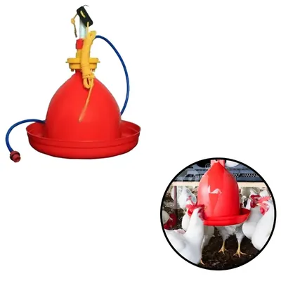 Automatic Jumbo Drinker For Poultry Farms