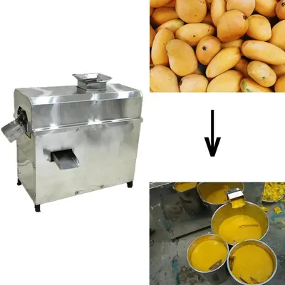 Semi-Automatic 1 HP 50 kg/Hour Mango Pulp Machine