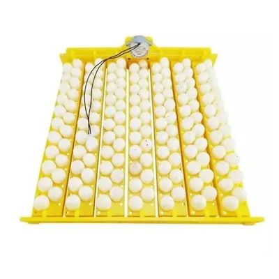 Automatic 154 Quail Birds Eggs Turn Tray with AC220 V Motor