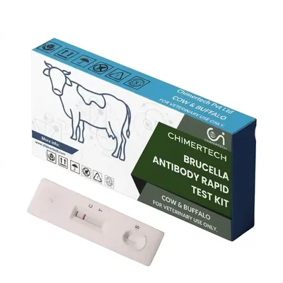 CHIMERTECH Bovine Brucella Rapid Antibody Test Kit
