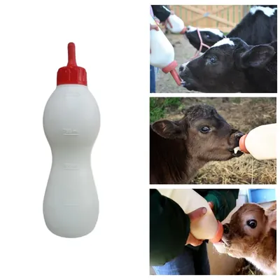 Cowtools Calf Feeding Bottle, 1 Litre Capacity (Pack of 2)