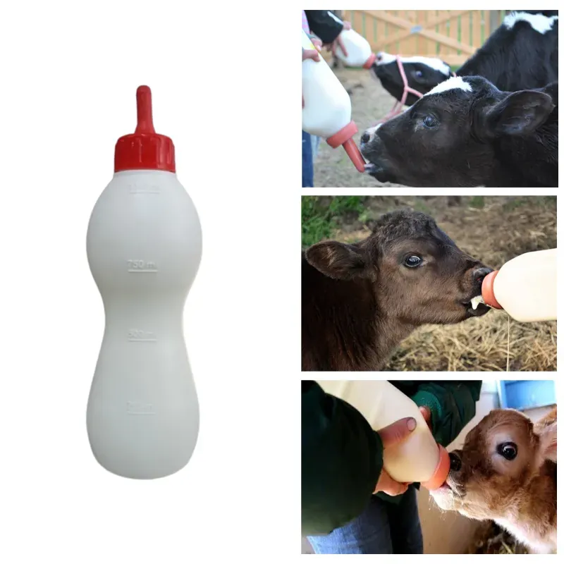Cowtools Calf Feeding Bottle, 1 Litre Capacity (Pack of 2)
