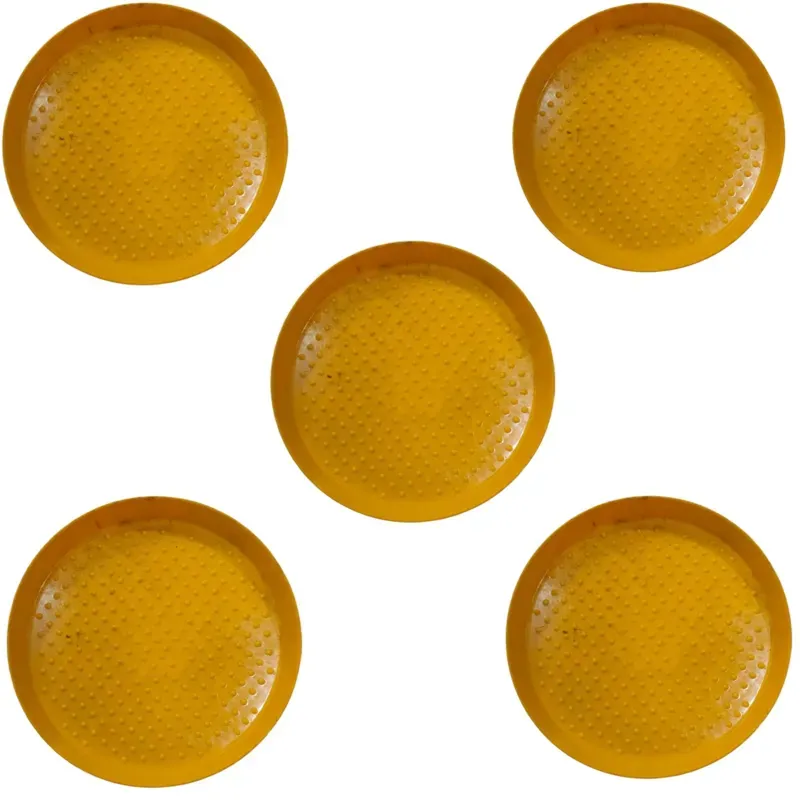 Chick Feeding Tray (Pack-5 Pcs)
